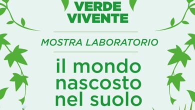 mostra laboratorio verde vivente Borgomanero