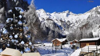 cinque libri sotto l'albero Valsesia