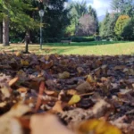 Parco Magni Borgosesia autunno