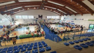mostra minerali e fossili a Borgosesia GSMV