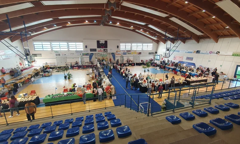 mostra minerali e fossili a Borgosesia GSMV