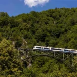 Ferrovia Vigezzina-Centovalli - Spring 1 ph. Massimo Pedrazzini