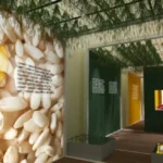 Riso╠Ç - Mostra _Riflessi di riso_