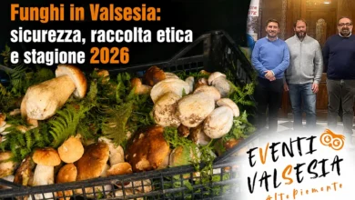 funghi valsesia sicurezza raccolta conferenza eventivalsesia