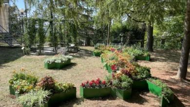 italia fiorita Asproflor