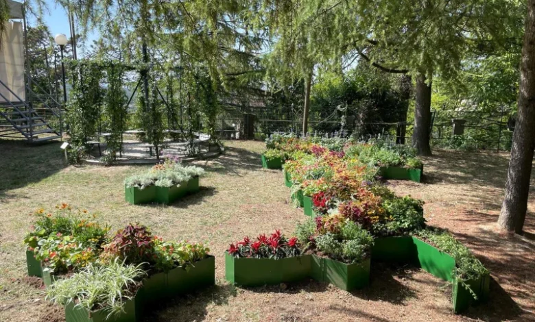 italia fiorita Asproflor