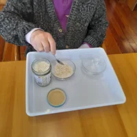 PORTULAMETODO MONTESSORI