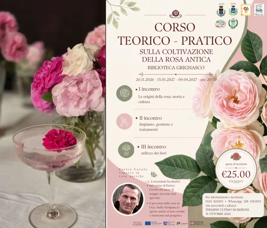 corso teorico pratico rosa antica a Grignasco